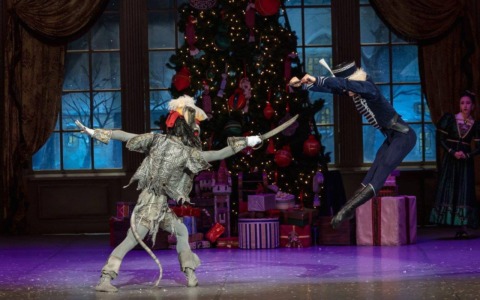 Cosa fare a Venezia e provincia nel weekend: eventi di sabato 28 febbraio e domenica 1° marzo 2026